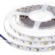 Striscia LED SMD5050 60 LEDs RGB+Bianco freddo IP20