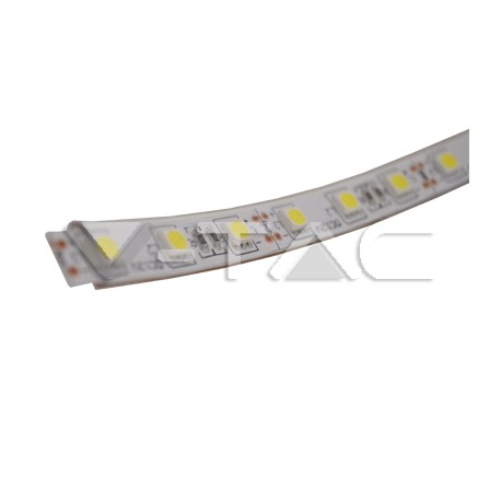 5mt Striscia SMD5050 60 LED /m Bianco freddo IP65 6000k