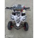 MINIQUAD FOX XXL 50cc 2 TEMPI RACING - QUAD ATV MODIFICHE INCLUSE