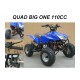 CARENE PLASTICHE QUAD 110CC 7" RAPTOR BIGONE SCOCCA ESCLUSO PEDANE FANALI