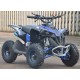 MINIATV MINIQUAD QUAD RENEGADE - 49cc easy start ruote 6" carburatore 14mm