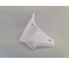 PLASTICA LATO SINISTRO SOTTO SERBATOIO PER QUAD ATV KAYO AT110 AT125 110CC 125CC