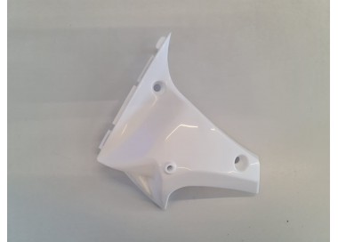 PLASTICA LATO SINISTRO SOTTO SERBATOIO PER QUAD ATV KAYO AT110 AT125 110CC 125CC