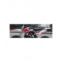 CARENE MINICROSS TIGER - 10" minimoto cross plastiche