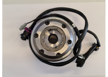 RUOTA LIBERA + VOLANO + STATORE PER BLOCCO MOTORE QUAD ZONGSHEN ZS300 300cc